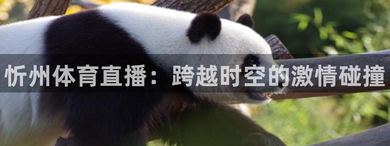 jrs直播吧在线观看：忻州体育直播：跨越时空的激情碰撞