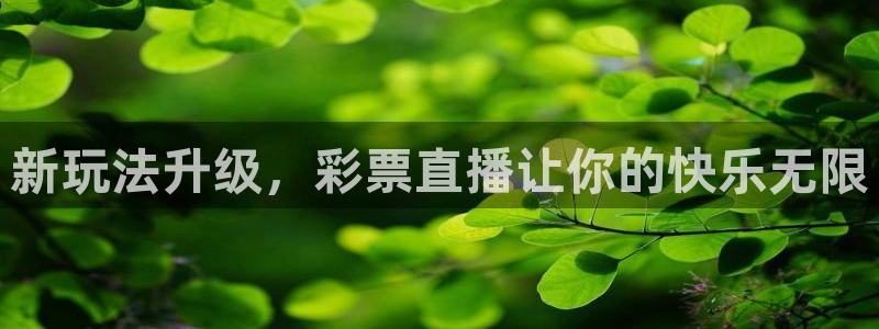 jrs直播吧篮球：新玩法升级，彩票直播让你的快乐无限