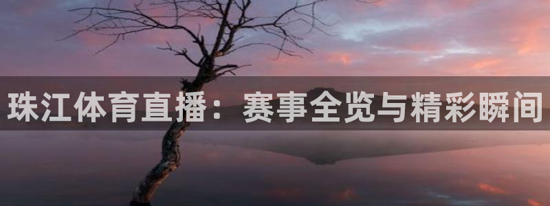 极速体育直播nba直播吧回放：珠江体育直播：赛事全览与精彩瞬间
