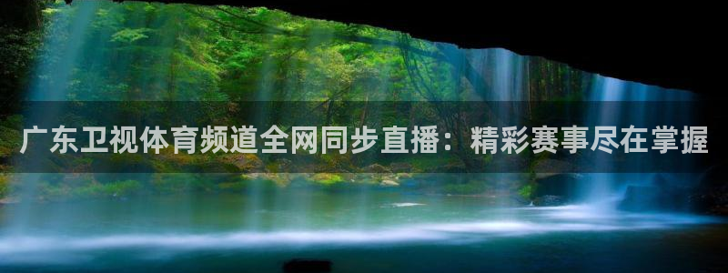 直播吧ufc体育直播：广东卫视体育频道全网同步直播：精彩赛事尽在掌握