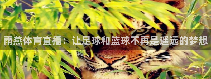今天有女篮比赛直播吧：雨燕体育直播：让足球和篮球不再是遥远的梦想
