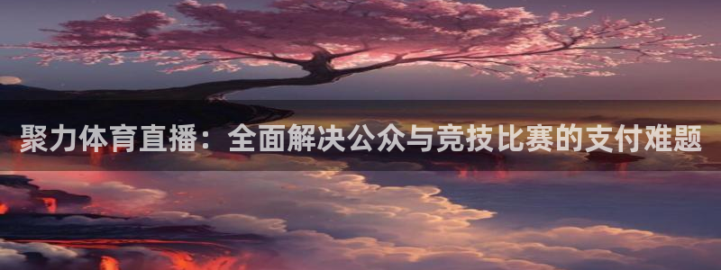 nba极速体育直播吧体育直播：聚力体育直播：全面解决公众与竞技比赛的支付难题
