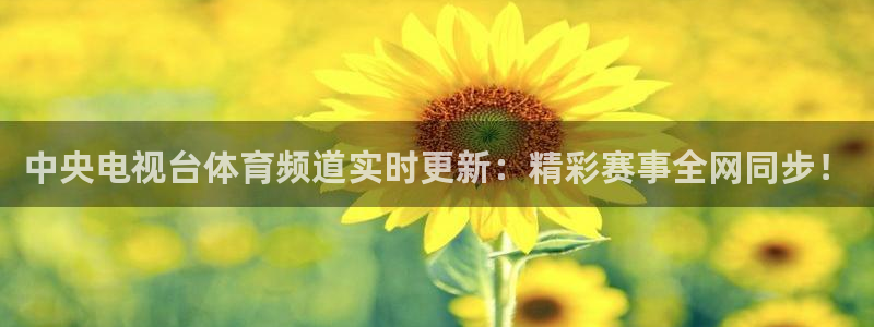 直播吧..：中央电视台体育频道实时更新：精彩赛事全网同步！