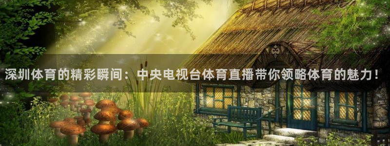 黑白直播nba直播吧：深圳体育的精彩瞬间：中央电视台体育直播带你领略体育的魅力！