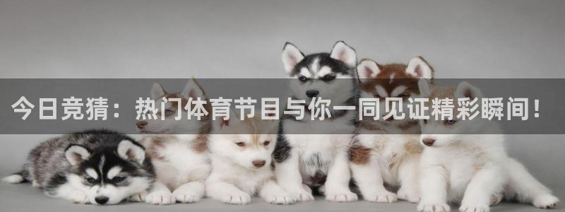 nba直播在线观看免费直播吧：今日竞猜：热门体育节目与你一同见证精彩瞬间！